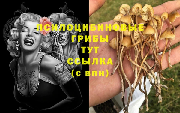 таблы Алзамай