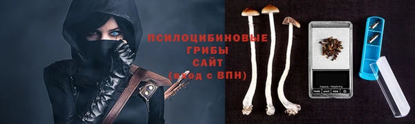 таблы Алзамай