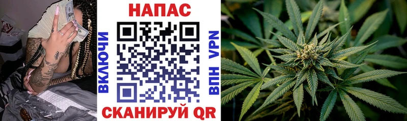 hydra сайт  Бакал  Каннабис White Widow 